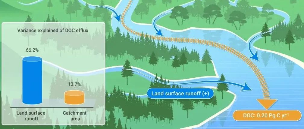 The Innovation Geoscience | 森林溪流每年输出的可溶性有机碳约占全球森林碳汇总量的十分之一
