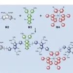 AFM | 军事医学科学院周冬生等团队研究发现采用光动力学光热学热力学组合策略治疗急性颌面伤口感染的可生物降解聚合物纳米颗粒