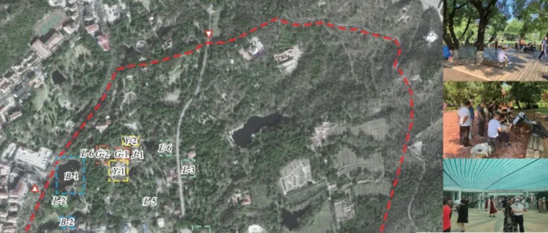 专题丨姚文飞：行为活动-空间环境分化视角下城市公园老年人健康影响机制研究