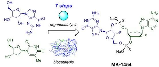 Stereoselective Synthesis of Cyclic Dinucleotide MK-1454