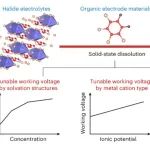 研究进展：全固态有机电池 | Nature Chemistry