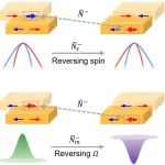 (纯计算)中科院物理所/南方科技大学Phys.&#160;Rev.&#160;Lett.:&#160;堆叠双层中非常规磁性的滑移铁电控制