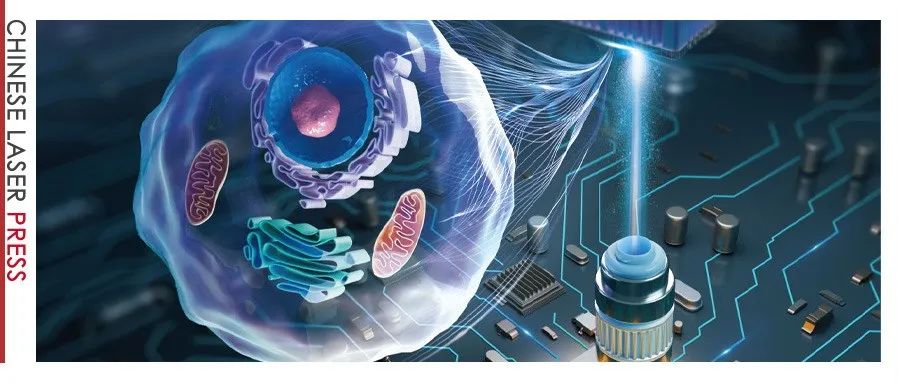 封面综述 | 大视场高分辨率无标记成像：傅里叶叠层定量相位成像——Advanced Imaging