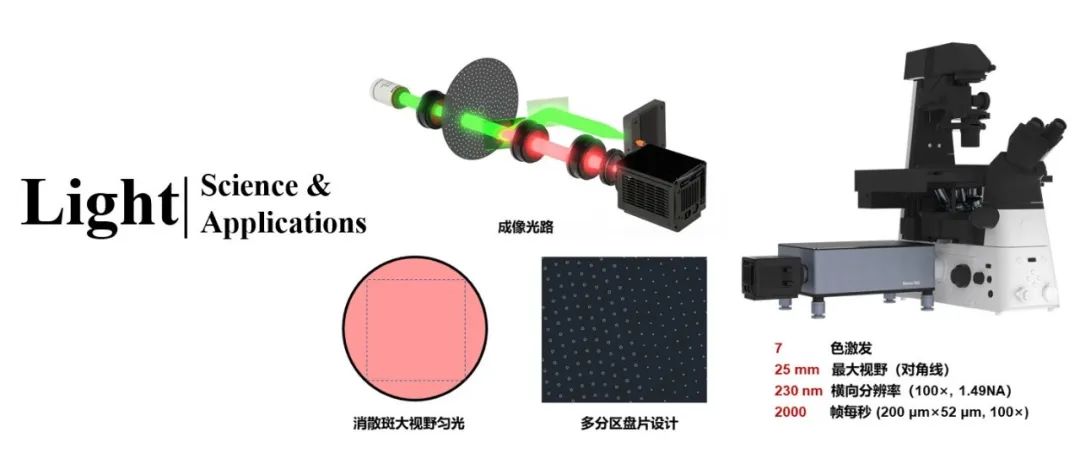 席鹏团队Light | 双重共聚焦图像扫描显微实现深组织超分辨成像突破