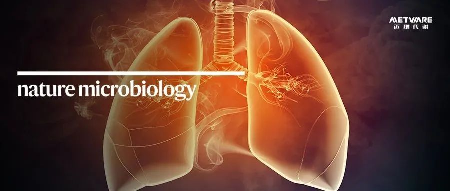 Nat Microbiol | 刘光慧团队绘制结核病后肺损伤单细胞图谱，揭示血管衰老新机制