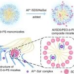 复旦大学JACS：三元相互作用平衡策略实现分级介孔金属氢氧化物的可控制备