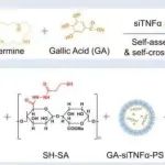 Bioact. Mater丨苏州大学钟志远团队发现口腔微生物调节和炎症靶向聚合物囊泡水凝胶可用于溃疡性结肠炎的RNAi治疗