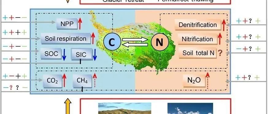 GCB|气候变化和人类活动对青藏高原生物地球化学循环的影响