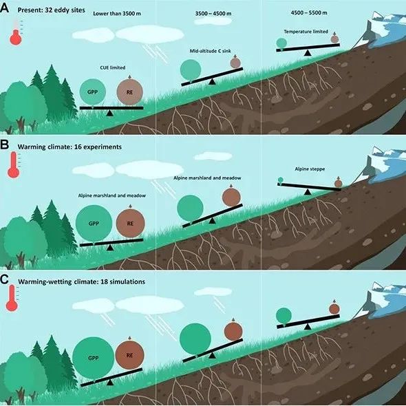 PNAS | 成都山地所在青藏高原陆地碳汇研究方面重要进展