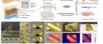 研究进展：折纸机器人-现场可编程 | Nature Communications