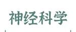Adv Sci丨谢成龙/王新施/宋伟宏团队揭示提升NAD+水平活化UPRmt加强线粒粒质量控制发挥帕金森病模型的神经保护作用