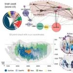4篇Nature主刊齐发：深度解析单细胞时空组学肿瘤的起源、演化及细胞间相互作用