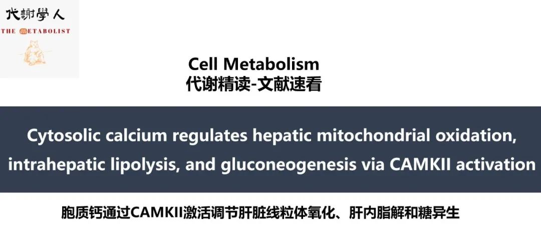 【视频号】Cell Metabolism：肝脏的“钙”世奇缘（附文字版链接）