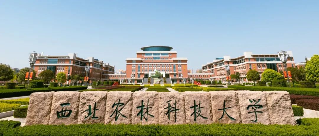 西北农林科技大学黄丽丽教授团队在国际著名期刊（IF=15.6）上发表研究论文