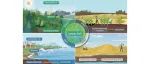 The Innovation Geoscience | “绿加蓝，黑加白”，四色解译陆地生态系统的碳汇密码