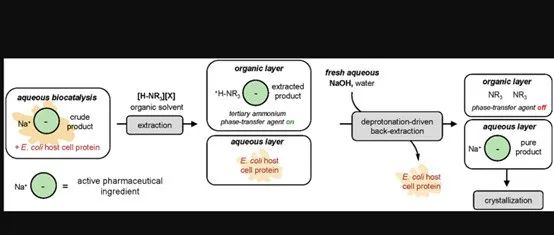 Switchable Phase-Transfer Agents for Host Cell Protein Rejection