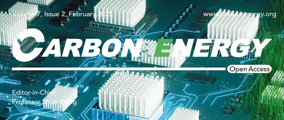 杨林&张庆&双微&吴玉军Carbon Energy：酞菁组装的Fe‐Co‐Ni三金属单原子ORR/OER双功能催化剂