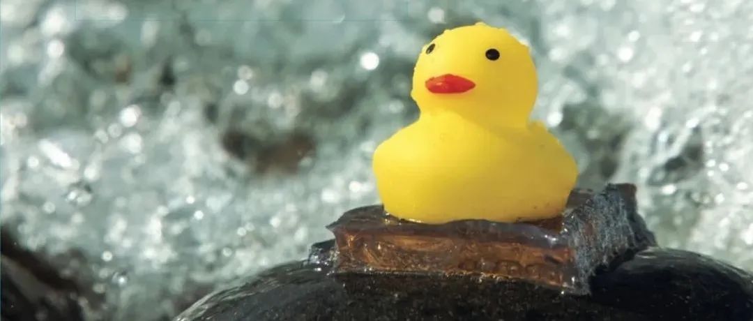水凝胶登上 Nature 封面：北海道大学龚剑萍、范海龙团队打造水下最粘凝胶