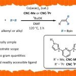 【ACS Catal.】中山大学胡鹏教授团队：钴催化的炔烃1,1-双硼化反应