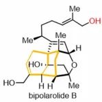 厦门大学陆钊洪教授课题组JACS：复杂二倍半萜Bipolarolides A 和B的对映选择性全合成
