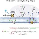 上海有机所：光催化-脂质 | Nature Chemistry