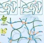 AFM | 江南大学陈坤林研究开发可生物降解智能传感地毯