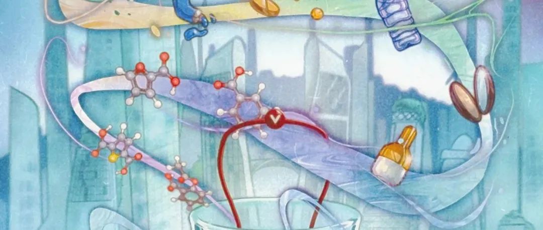 Sci. China Chem. 2025年第8期目录
