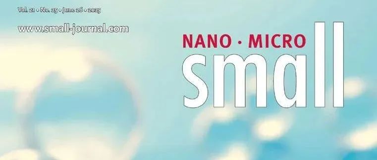 2025年Small青年科学家创新奖（Small Young Innovator Award）获奖者公布