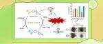 【J. Med. Chem.】中国海洋大学王勇：新型桥环二茂铁铁死亡诱导剂ML210-ansaFc的发现与抗肿瘤应用