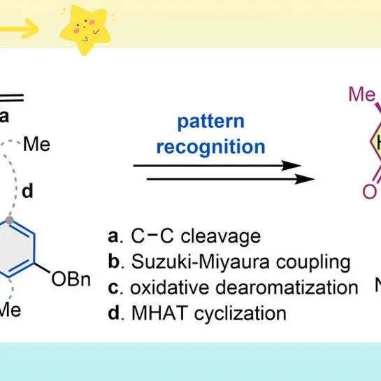 【JACS】埃默里大学代明骥组：基于模式识别策略实现二萜(−)-Neocucurbol C首次不对称全合成