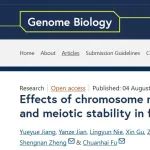 Genome Biol | 中科大符传孩教授课题组基于人工融合染色体研究揭示染色体数目对有丝分裂与减数分裂的差异性调控机制