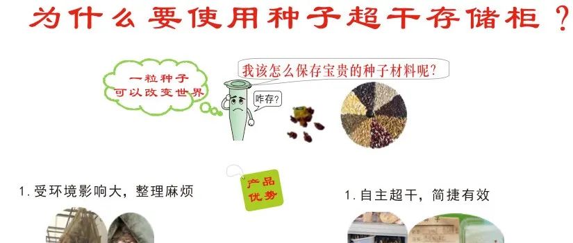 为什么要使用种子超干存储柜？