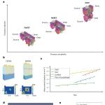 研究进展：热管理材料-芯片散热 | Nature Reviews Electrical Engineering