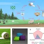 华东师范大学张强课题组《Sci. Adv.》：基于纳米纤维素制备高强度、高柔韧性的全降解生物质泡沫材料