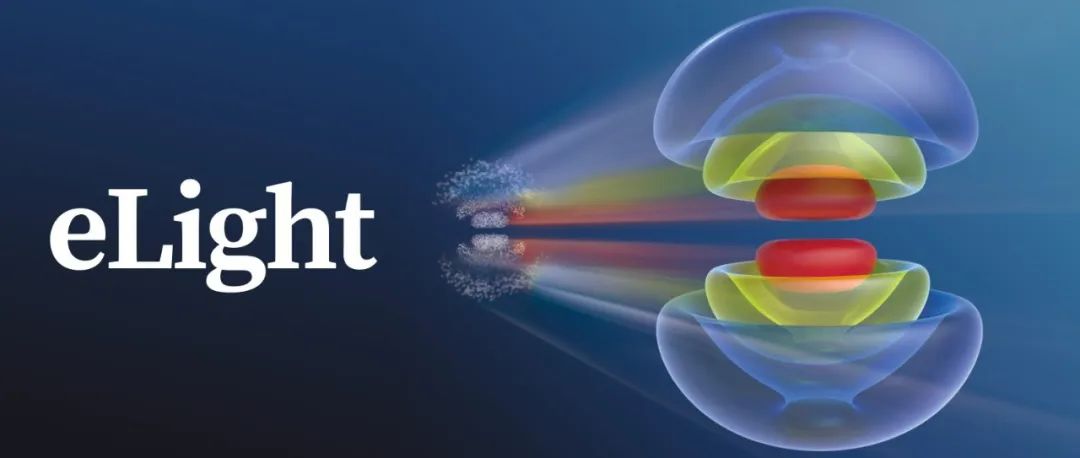 詹其文团队eLight | 时空光场赋能光学量子模拟