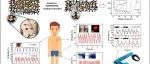山东大学《CEJ》：“按钮状”石墨烯气凝胶/PDMS双相复合材料，用于可穿戴设备、机器人和医疗监测