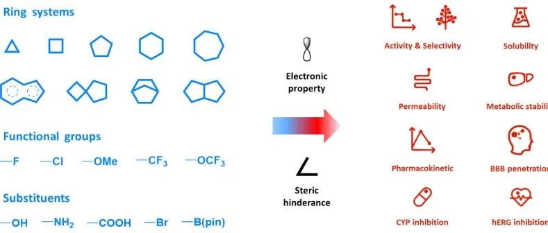 为什么说，分子砌块是药物研发的核心基石？｜来自药石科技白皮书的答案