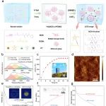 吉林大学李洋课题组 AFM：具有超高凝胶-溶胶转变温度的自修复离子凝胶助力锌-空气电池在100 ℃下运行