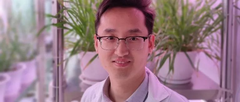 本科毕业于安徽师范大学，博士毕业于中科院遗传发育所，河南农大教授以通讯作者身份在Cell子刊上发表论文