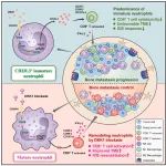 Cancer Cell | 南京大学魏嘉等揭示未成熟中性粒细胞在癌症骨转移中的关键作用！