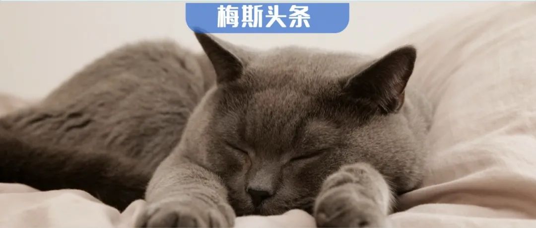 睡了等于没睡！川大华西研究发现：碎片化睡眠不仅损害脑血管，增加痴呆风险，还会引发代谢危机！但补充这些能逆转