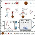 BB.一种由CRISPR/Cas12a介导、通过原位生成点击酶催化的点击免疫分析法用于高灵敏检测旋毛虫