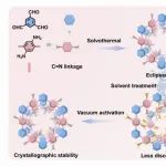 四川大学马利建课题组JACS：二维共价有机框架膜中柔性、无序性和孔径的协同立体调节以增强选择性离子筛分