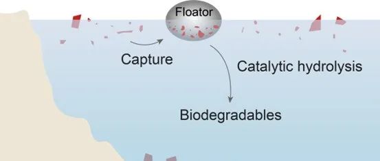 清华大学牛志强团队Adv. Mater.：双原子锌功能化碳球用于天然海水中微塑料降解