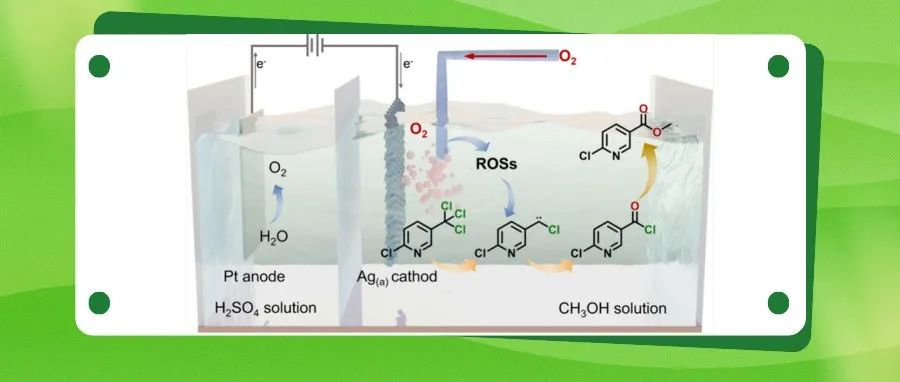 【JACS】浙工大郑华均团队：电化学氧还原耦合脱氯促进酰化反应实现芳香酯合成