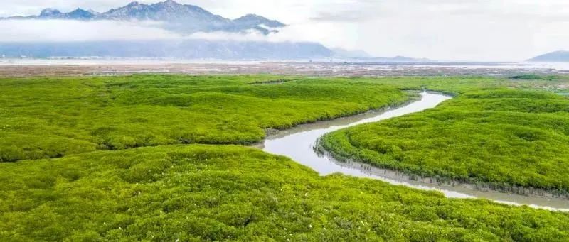 东北地理所在Communications Earth& Environment期刊发文揭示中国湿地绿化趋势