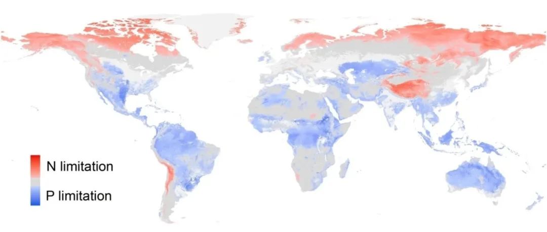 Nature Geoscience | 陆地生态系统氮、磷限制格局