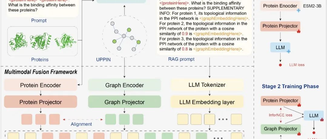 蛋白质相互作用预测新方法：湖南大学/腾讯生命科学实验室推出蛋白质自然语言多模态大模型LlaPA