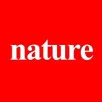 北大深研院肖荫果Nature子刊 | 孪晶介导层内阻挫主导层状富锂氧化物正极结构退化！