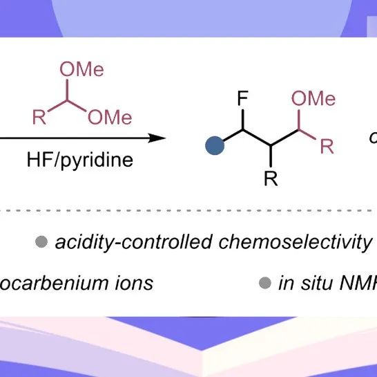 【JACS】普瓦提埃大学：HF/吡啶体系的酸度调控，实现烯烃的化学发散性氟代-与羟基化-杂烷基化反应